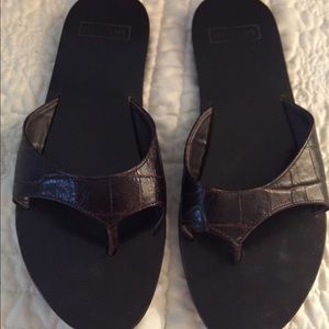 Dark Brown Harold’s slides
